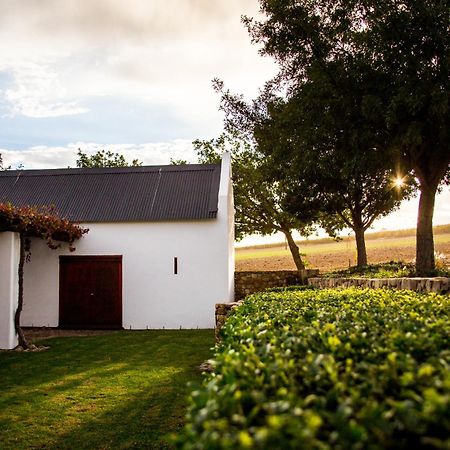 Vineyard Cottage At Bosman Wines Wellington Exterior photo