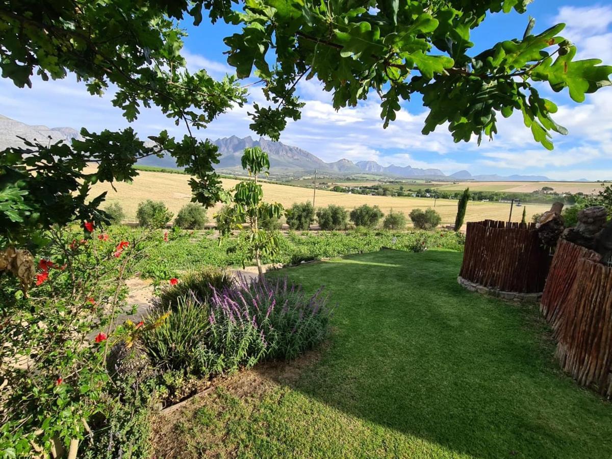 Vineyard Cottage At Bosman Wines Wellington Exterior photo