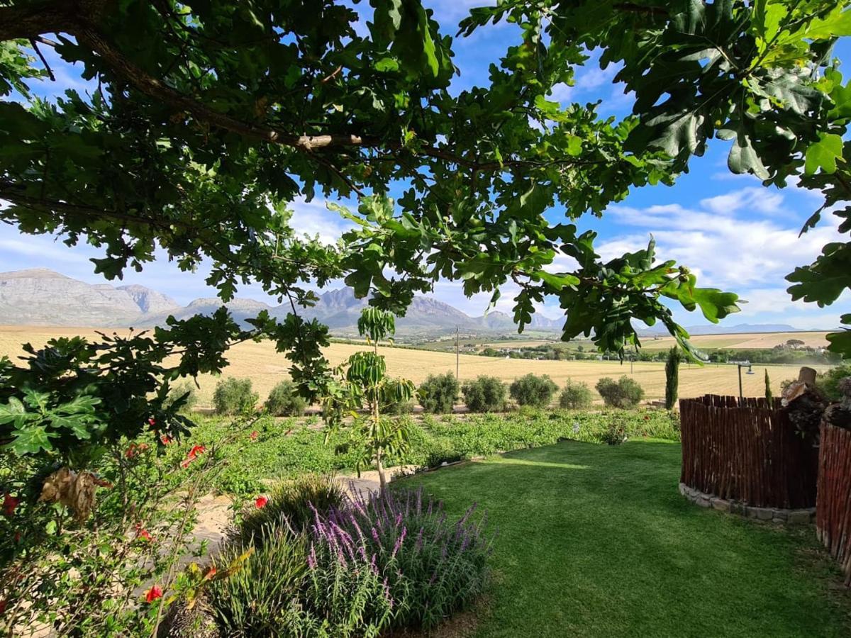 Vineyard Cottage At Bosman Wines Wellington Exterior photo