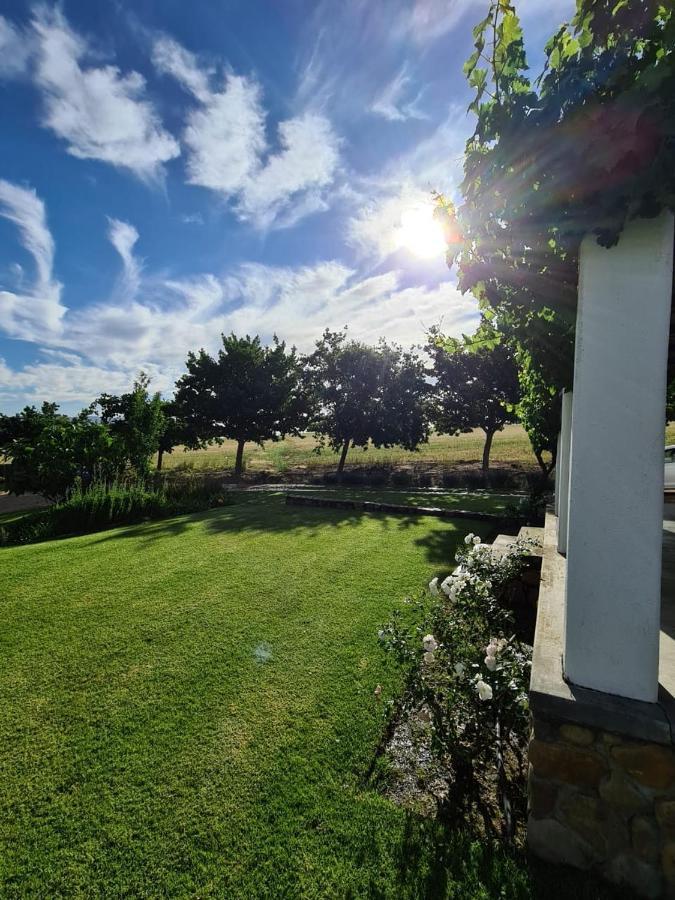Vineyard Cottage At Bosman Wines Wellington Exterior photo
