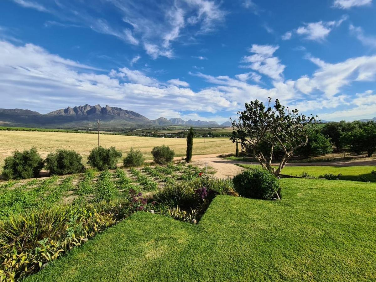 Vineyard Cottage At Bosman Wines Wellington Exterior photo