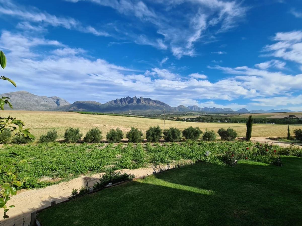 Vineyard Cottage At Bosman Wines Wellington Exterior photo