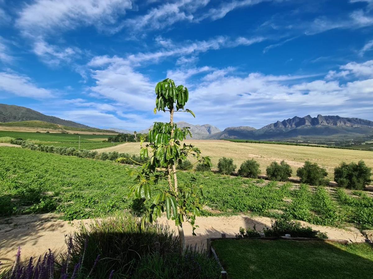 Vineyard Cottage At Bosman Wines Wellington Exterior photo