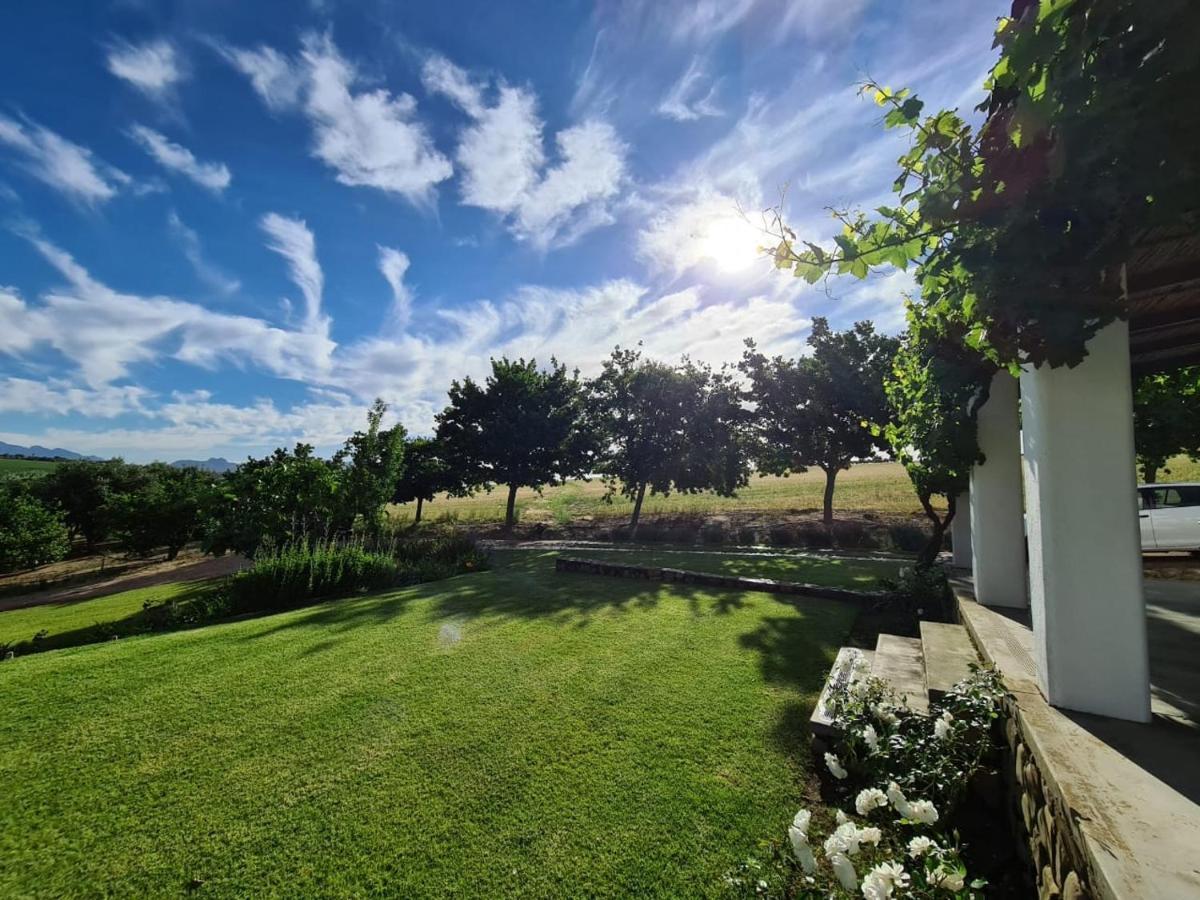 Vineyard Cottage At Bosman Wines Wellington Exterior photo