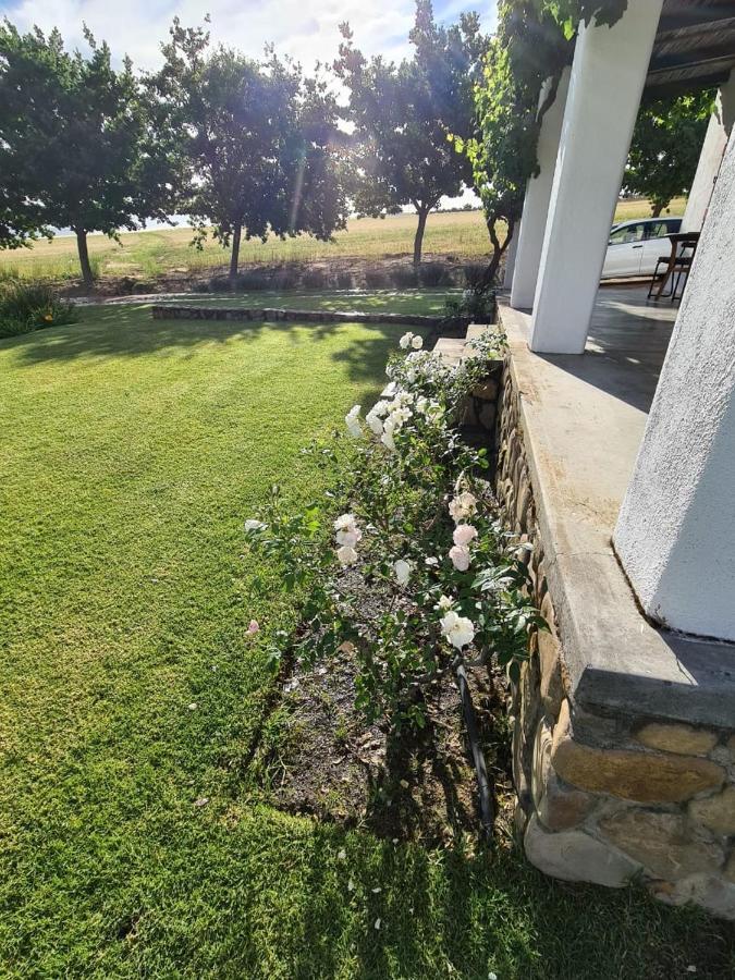 Vineyard Cottage At Bosman Wines Wellington Exterior photo