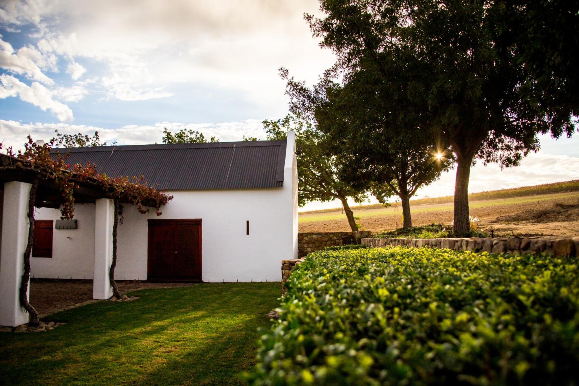 Vineyard Cottage At Bosman Wines Wellington Exterior photo