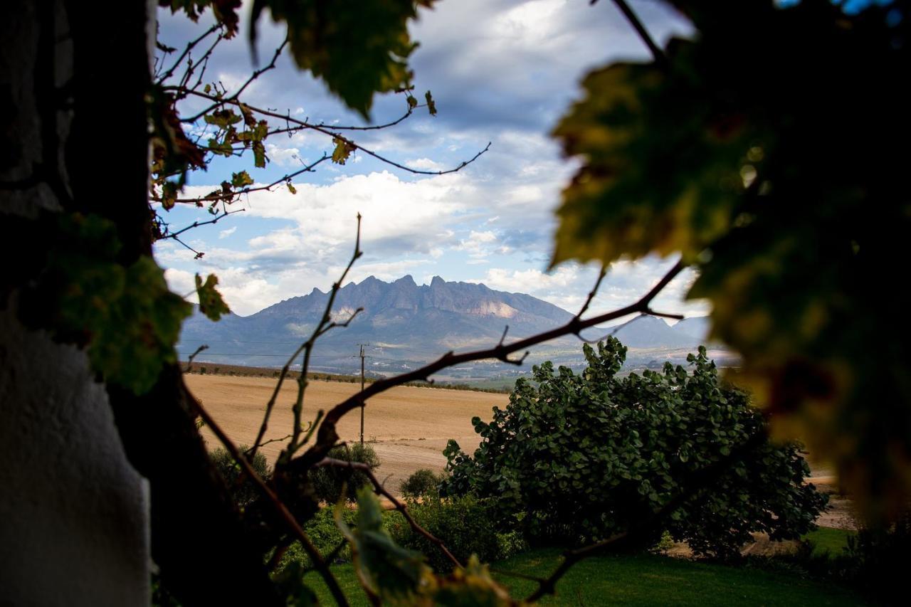 Vineyard Cottage At Bosman Wines Wellington Exterior photo